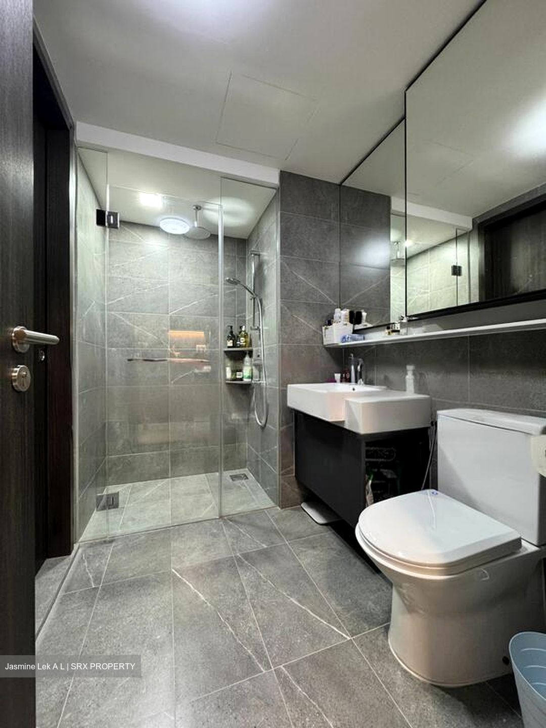 Riverfront Residences (D19), Apartment #468960351